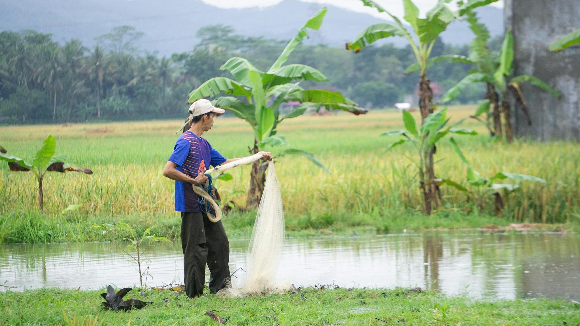 Sustainable agriculture field Kazakhstan